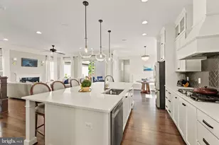 22986 Bubbling Brook Dr, Brambleton, VA 20148 - Photo 3