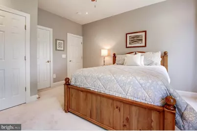 16555 Chestnut Overlook Drive, Purcellville, VA 20132 - Photo 51