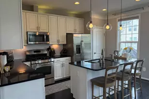 22655 Vienna Green Terrace, Brambleton, VA 20148 - Photo 9
