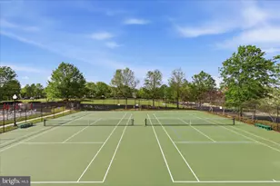 25352 Ripleys Field Dr, Chantilly, VA 20152 - Photo 43