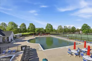 25352 Ripleys Field Dr, Chantilly, VA 20152 - Photo 41