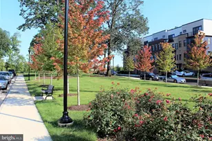 42464 Mildred Lndg Sq, Ashburn, VA 20148 - Photo 63