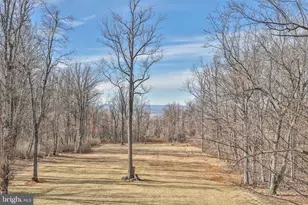 17345 Raven Rocks Rd, Bluemont, VA 20135 - Photo 85