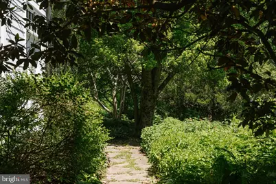 37961 Forest Mills Road, Leesburg, VA 20175 - Photo 121