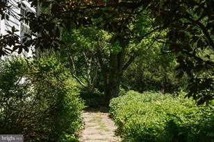 37961 Forest Mills Rd, Leesburg, VA 20175 - Photo 121