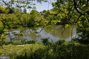 37961 Forest Mills Rd, Leesburg, VA 20175 - Photo 115