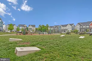 41912 Hogan Frst Ter, Aldie, VA 20105 - Photo 47