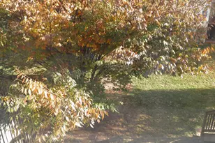 20382 Farmgate Terrace, Ashburn, VA 20147 - Photo 25