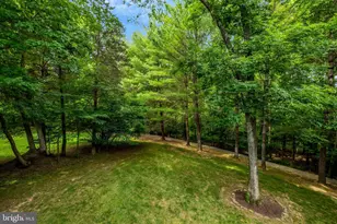 47165 Timberland Pl, Sterling, VA 20165 - Photo 61