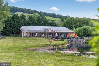 18616 Foggy Bottom Road, Bluemont, VA 20135 - Photo 115