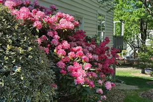 21603 Goodwin Ct, Broadlands, VA 20148 - Photo 11