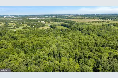 41216 Bridges Farm Lane, Leesburg, VA 20175 - Photo 11