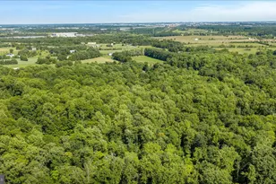 41216 Bridges Farm Ln, Leesburg, VA 20175 - Photo 11