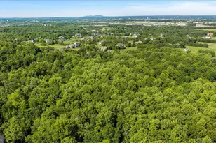 41216 Bridges Farm Ln, Leesburg, VA 20175 - Photo 13