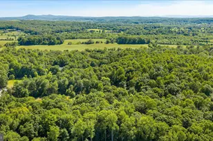 41216 Bridges Farm Ln, Leesburg, VA 20175 - Photo 9