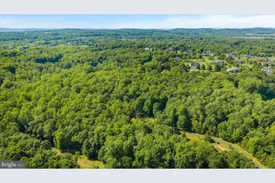 41216 Bridges Farm Lane, Leesburg, VA 20175 - Photo 15
