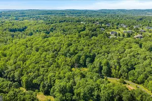 41216 Bridges Farm Ln, Leesburg, VA 20175 - Photo 15