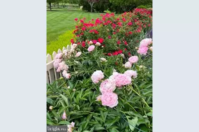 22364 Wilson Meadows Lane, Aldie, VA 20105 - Photo 135