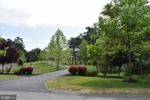 42115 Pleasant Forest Ct, Ashburn, VA 20148 - Photo 57