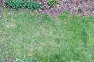 43859 Sandburg Square, Ashburn, VA 20147 - Photo 21