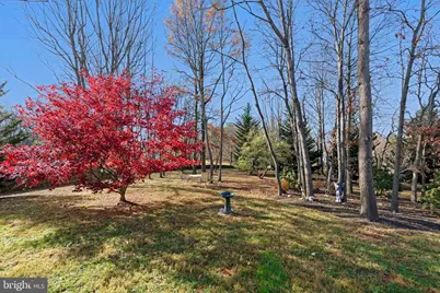 36006 Little River Turnpike Highway, Middleburg, VA 20117 - Photo 37