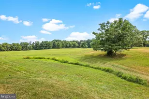 18373 Lickey Mill Rd, Purcellville, VA 20132 - Photo 65