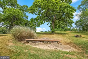 18373 Lickey Mill Rd, Purcellville, VA 20132 - Photo 59