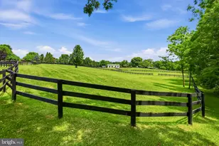 34294 Bridgestone Ln, Bluemont, VA 20135 - Photo 77