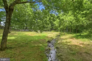 34294 Bridgestone Ln, Bluemont, VA 20135 - Photo 79