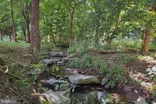 19131 Stream Crossing Ct, Leesburg, VA 20176 - Photo 95
