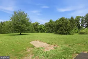 39335 Bolington Rd, Lovettsville, VA 20180 - Photo 21