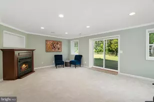 38689 Cassia Ln, Lovettsville, VA 20180 - Photo 49