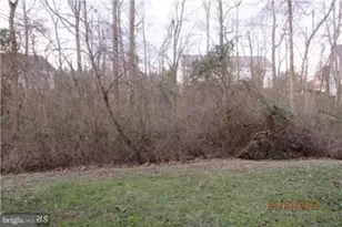21511 Welby Terrace, Broadlands, VA 20148 - Photo 19