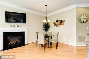 23421 Spice Bush Terrace, Brambleton, VA 20148 - Photo 9