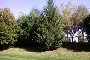 21773 Baldwin Square, Sterling, VA 20164 - Photo 35