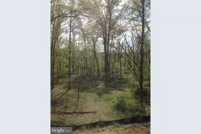 204 Upper Brook Terrace, Purcellville, VA 20132 - Photo 3