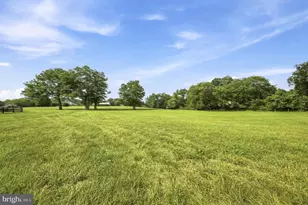 17751 Harmony Church Rd, Hamilton, VA 20158 - Photo 53