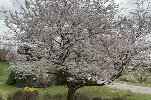 42012 Glynn Tarra Pl, Leesburg, VA 20176 - Photo 109