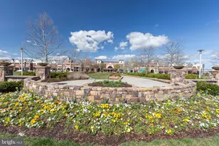 22653 Vienna Green Terrace, Brambleton, VA 20148 - Photo 43