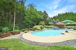 43317 Cedar Pond Pl, Chantilly, VA 20152 - Photo 75