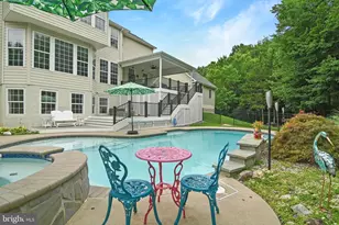 43317 Cedar Pond Pl, Chantilly, VA 20152 - Photo 79