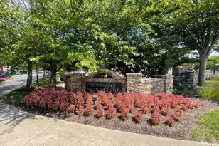 42243 Water Iris Terrace, Aldie, VA 20105 - Photo 43
