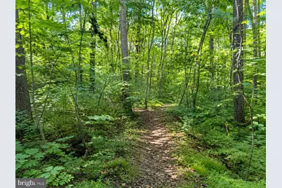 12883 Furnace Mountain Road, Lovettsville, VA 20180 - Photo 35