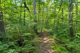 12883 Furnace Mountain Rd, Lovettsville, VA 20180 - Photo 35
