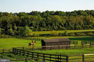 15158 Berlin Turnpike, Purcellville, VA 20132 - Photo 21