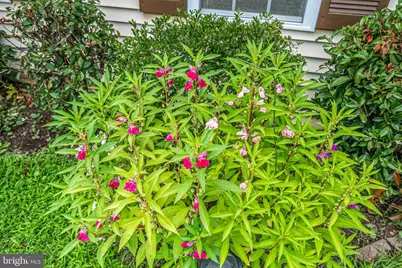 108 Plum Tree Court, Sterling, VA 20164 - Photo 47