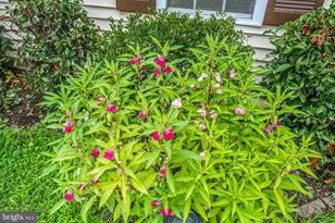 108 Plum Tree Ct, Sterling, VA 20164 - Photo 47