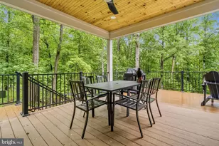 13549 Hanging Rock Ln, Lovettsville, VA 20180 - Photo 43