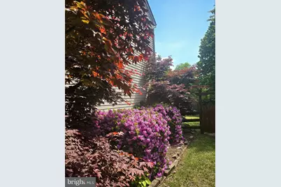 46495 Primula Court, Sterling, VA 20165 - Photo 3