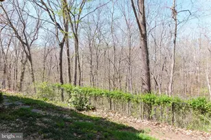 20717 Waterfall Branch Terrace, Sterling, VA 20165 - Photo 21